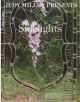 Sidelights Stained Glass Book